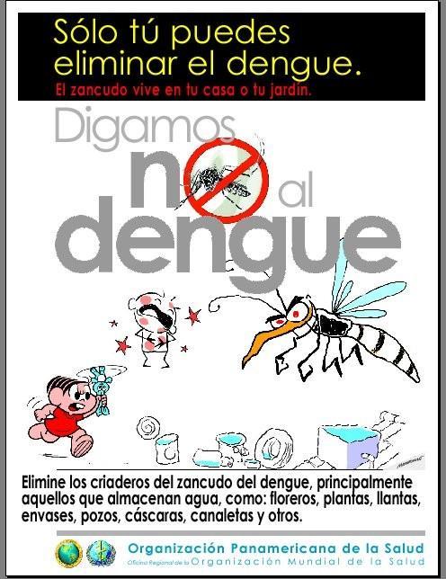 dengue 2.jpg