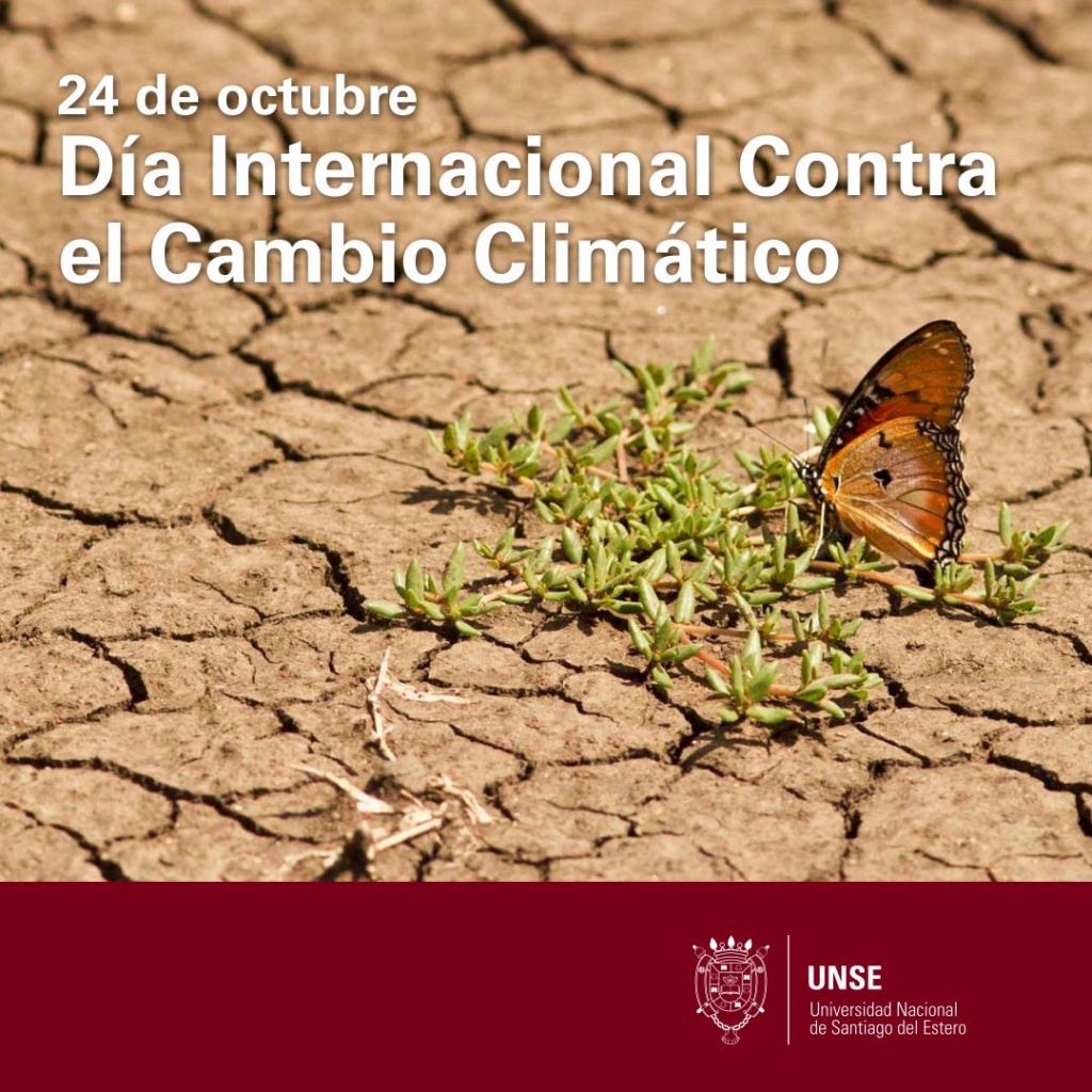 24 Día Internacional Contra el Cambio Climático redes.jpg