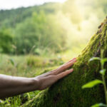 Licenciatura en Ecología y Conservación…