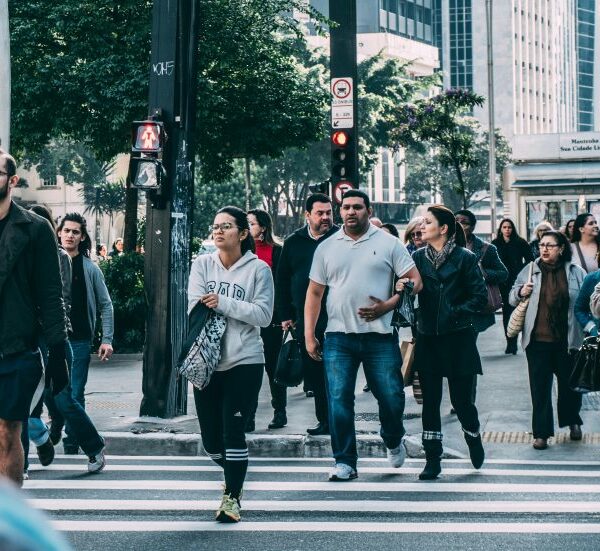 Licenciatura en Sociología