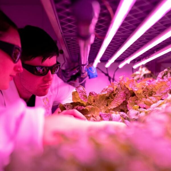 Ingeniería en Alimentos