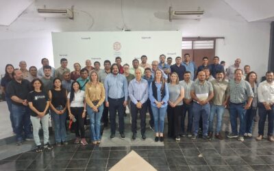 Lanzan un plan de manejo forestal para más de un millón de hectáreas de bosque nativo