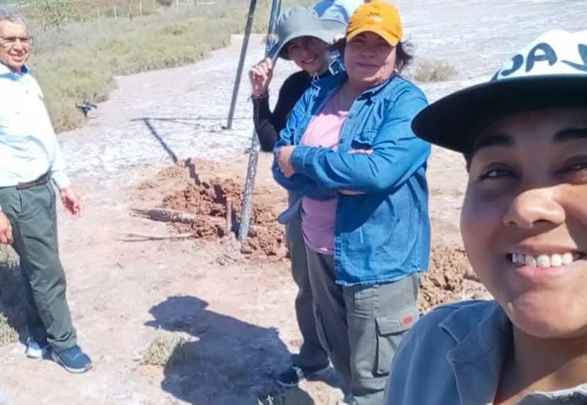 Realizan una investigación de salmueras…