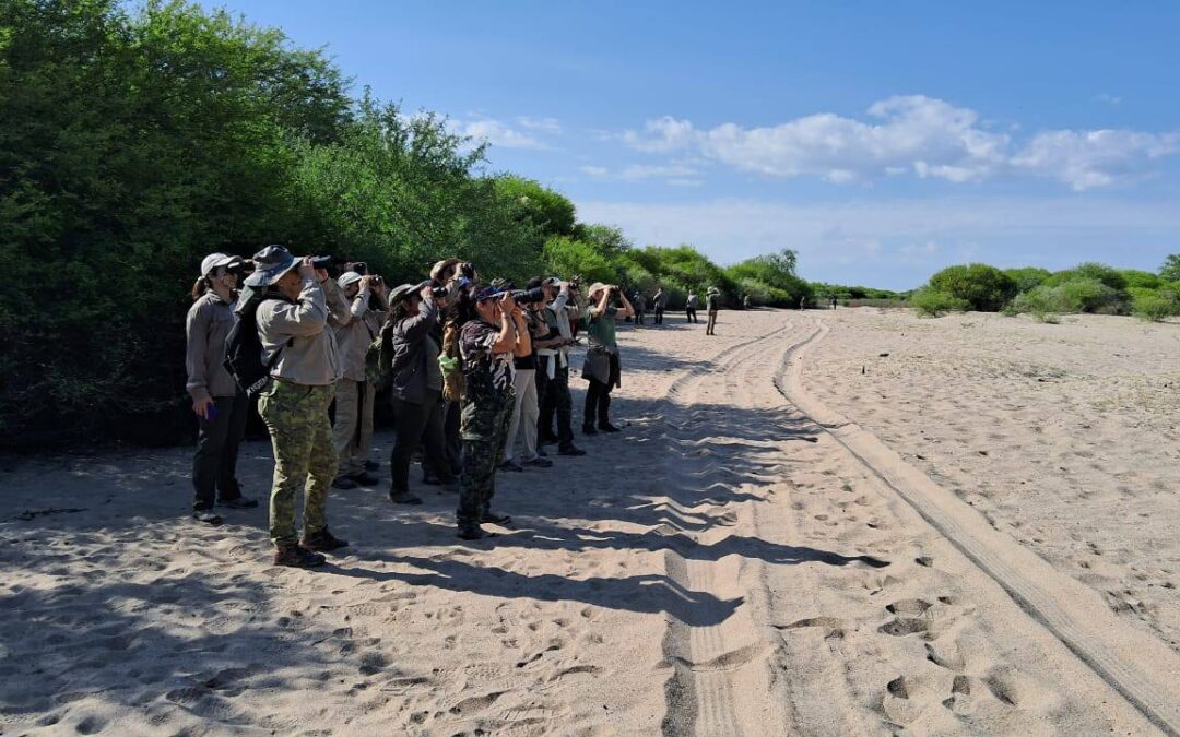 Investigadores de la UNSE impulsan “Rutas Sonoras”, una propuesta para registrar y conservar las aves de Santiago del Estero