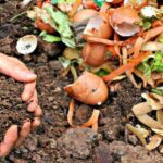 Compostaje: una alternativa sustentable para&hellip;