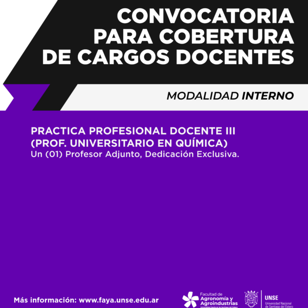 CONCURSO INTERNO – PRACTICA PROFESIONAL DOCENTE III