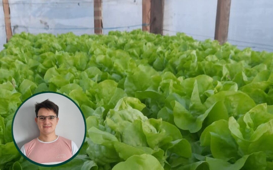 Del balcón al invernadero: el proyecto de un estudiante de la UNSE para producir sin tierra