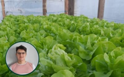 Del balcón al invernadero: el proyecto de un estudiante de la UNSE para producir sin tierra
