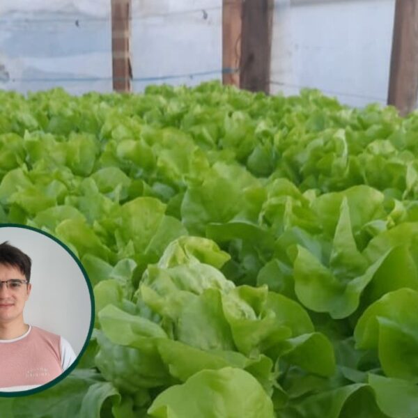 Del balcón al invernadero: el proyecto de un&hellip;
