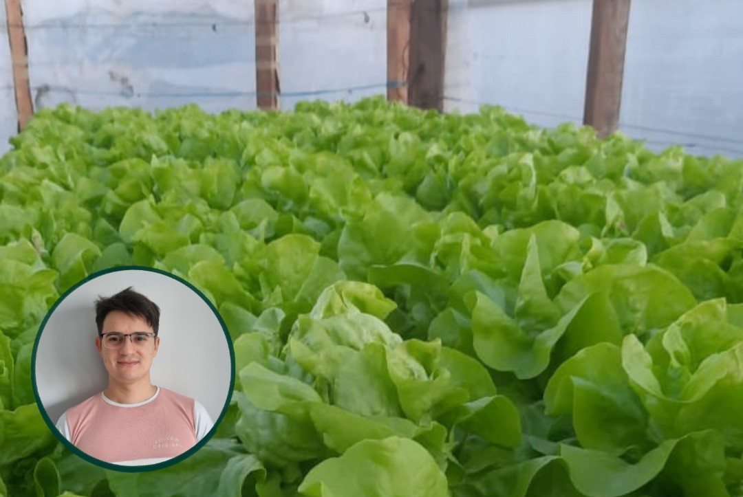 Del balcón al invernadero: el proyecto de un estudiante de la UNSE para producir sin tierra